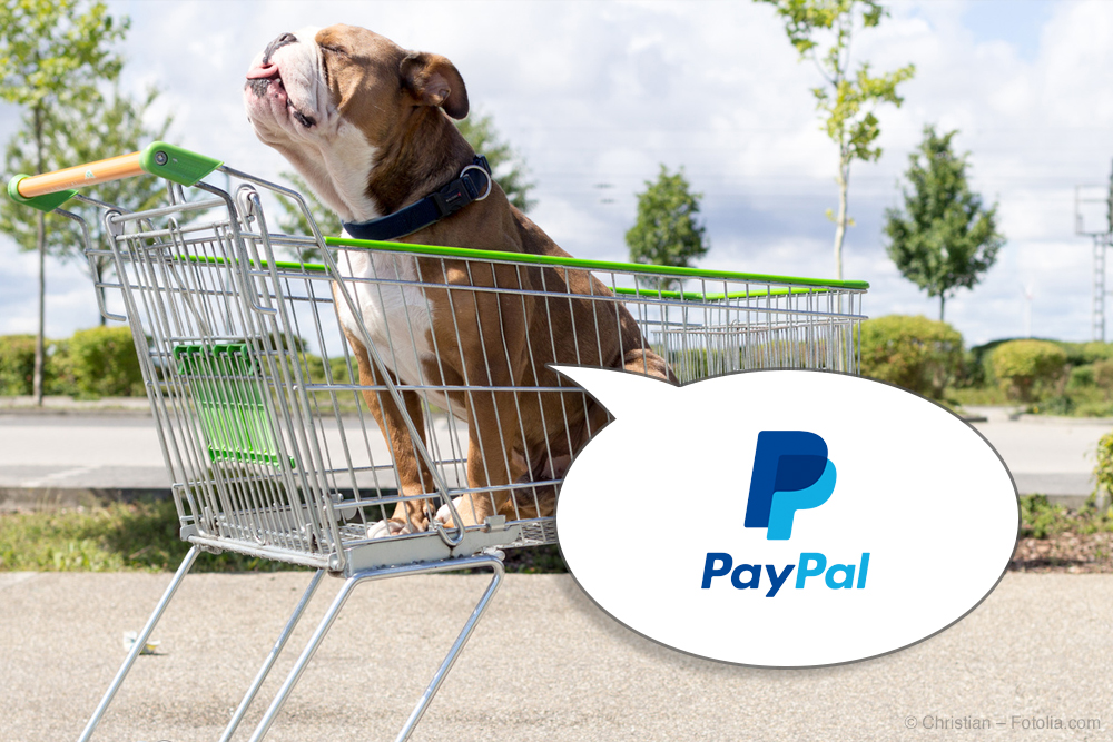 2018_04_paypal