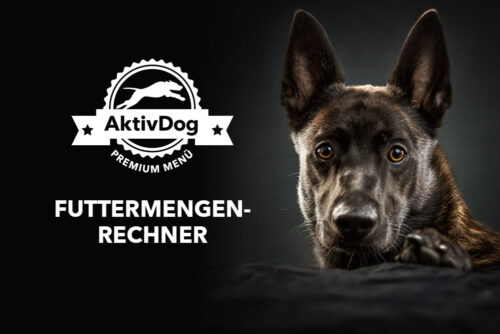 Berechnen der Futtermenge mit dem Futtermengenrechner von AktivDog