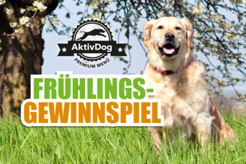 Gewinnspiel: leckeres AktivDog Hundefutter für Ihren Liebling!