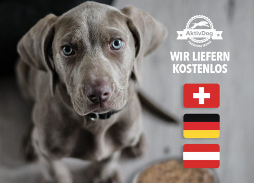 Kostenlose Lieferung von AktivDog – Das natürliche Schweizer Hundefutter