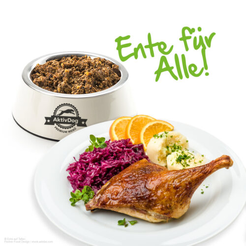 Ente für Alle zum Einführungspreis bei AktivDog – Das natürliche Schweizer Hundefutter