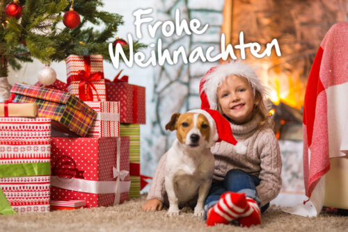 Frohe Weihnachten wünscht AktivDog Hundefutter