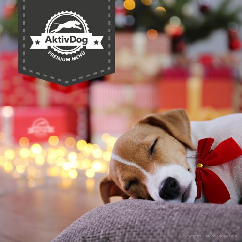 frohe Weihnachten wünsch das ganze Team von AktivDog, dem besten schweizer Hundefutter