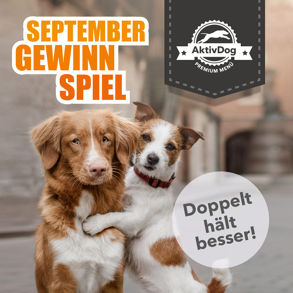 September-Gewinnspiel auf www.aktivdog.ch. Gewinnen Sie doppelt Hundefutter September-Gewinnspiel auf www.aktivdog.ch. Gewinnen Sie doppelt Hundefutter