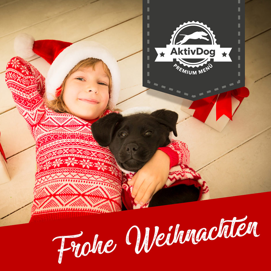Frohe Weihnachten wünscht das Team von AktivDog – Schweizer High Quality Hundefutter Frohe Weihnachten wünscht das Team von AktivDog – Schweizer High Quality Hundefutter