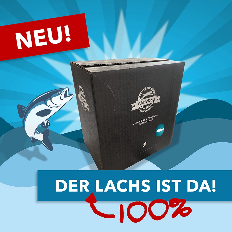 Das neue AktivDog bestes Hundefutter 100% Lachs zum Einführungspreis ab 01. April im AktivDog Onlineshop