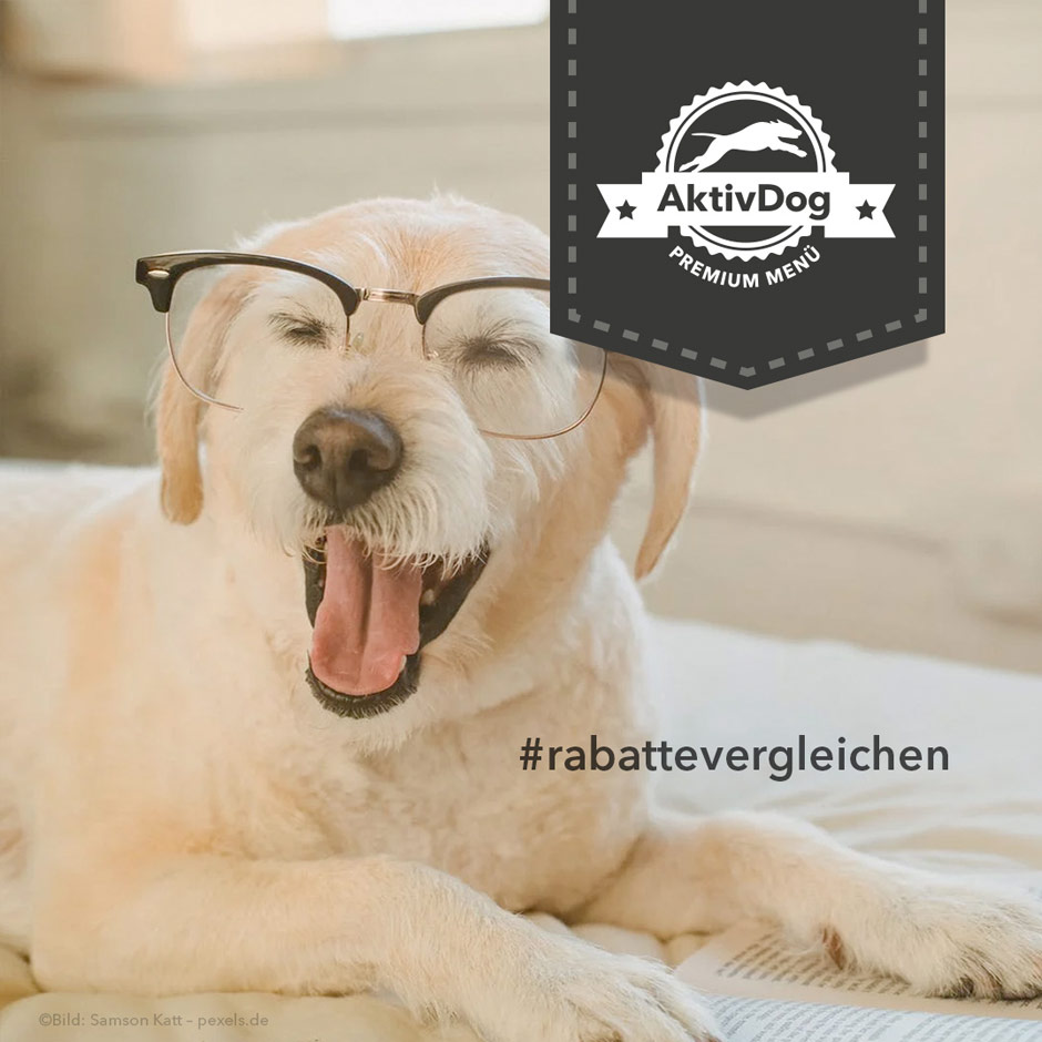 Bei AktivDog können Sie sparen! Rabatte bis zu 25%.