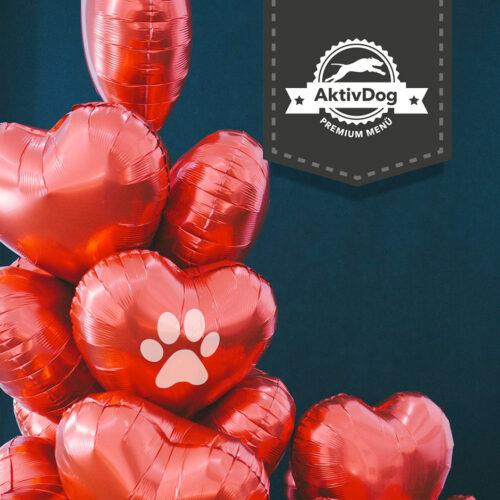 Schöner Valentinstag wünscht AktivDog – Schweizer Hundefutter