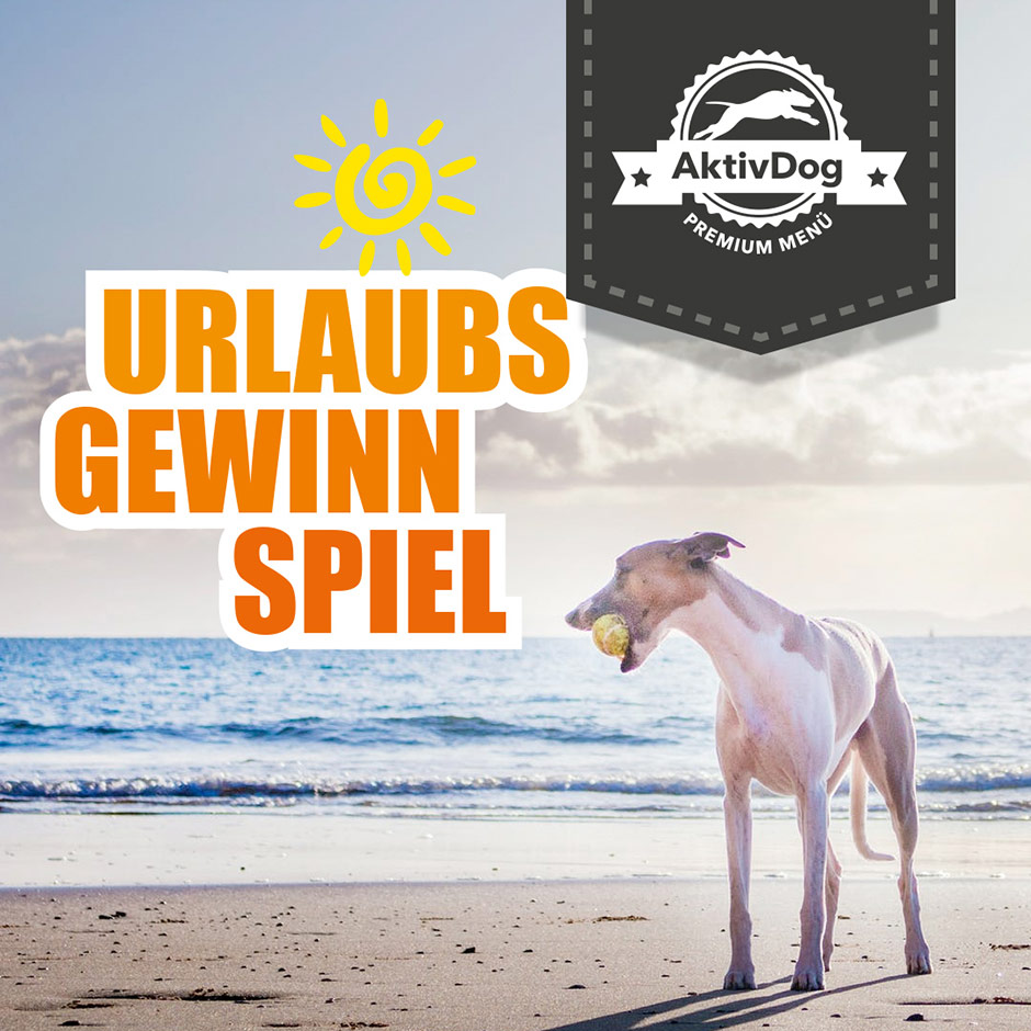 2022_24_urlaubsgewinnspiel das AktivDog Urlaubsbilder Hundefutter Gewinnspiel. Jetzt auf der AktivDog Facebook Fanpage