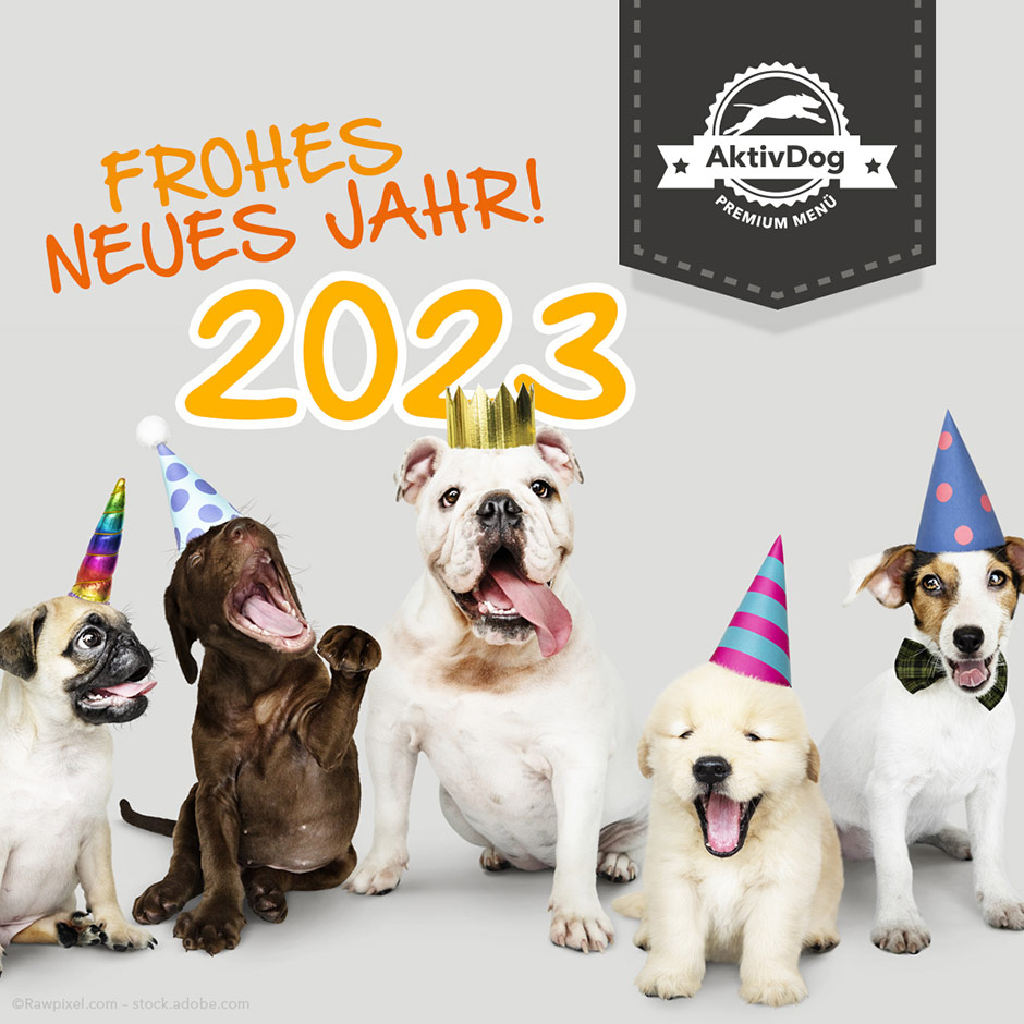 2023_01_frohesneues