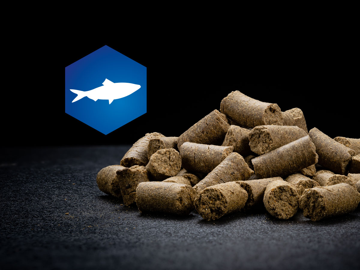 AktivDog Belohnungsleckerli Hering aus aromatischem Schweizer Hering liegen pur auf einem dunklen Untergrund