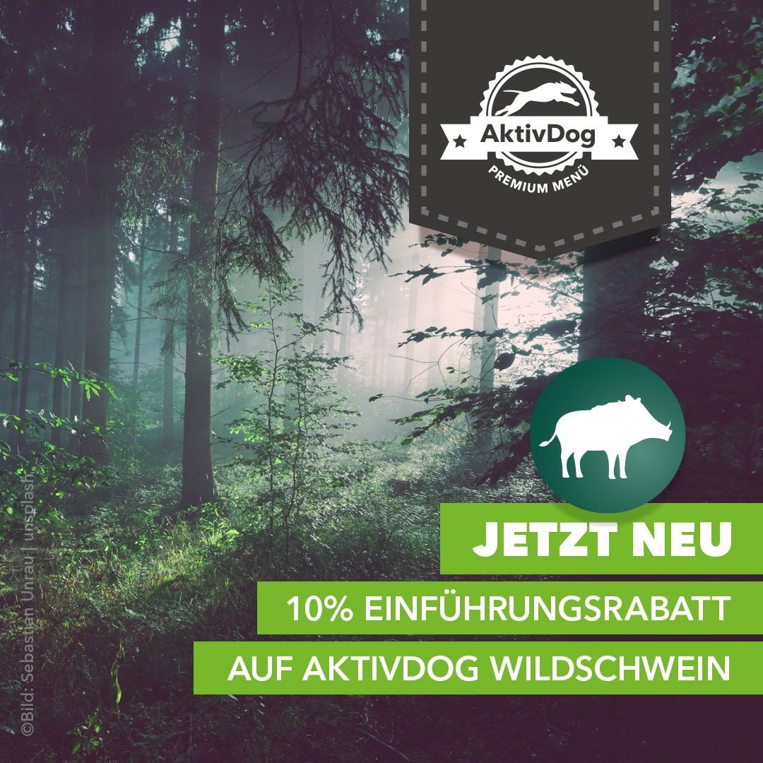 Jetzt Neu. AktivDog Hundefutter Sorte Wildschwein mit 10% Rabatt