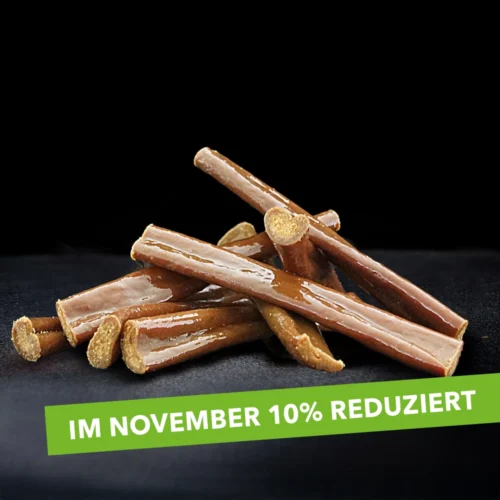 kaustangen-pferd-november-10pro