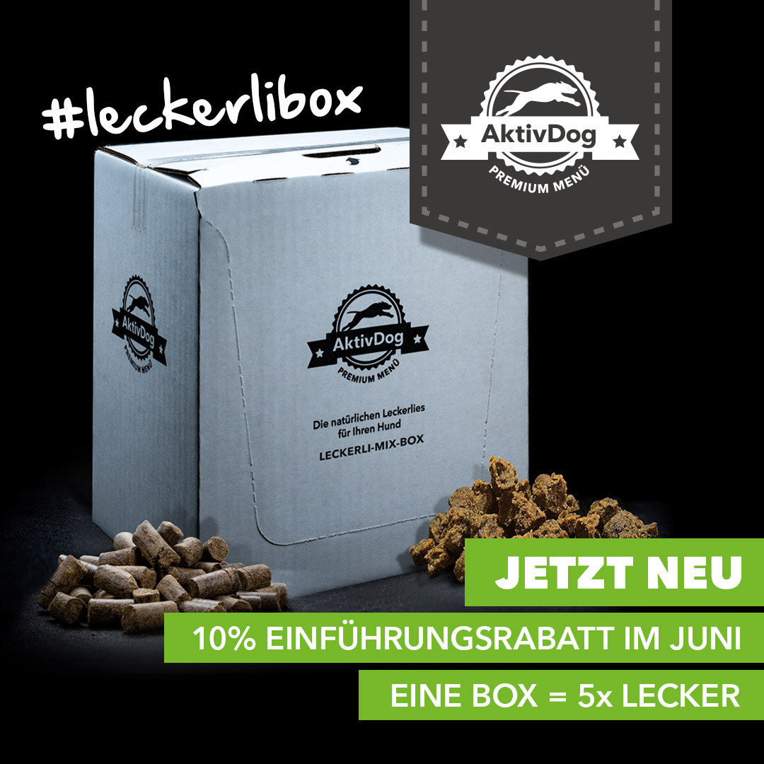 2024_19_Leckerli-Box-Einfuehrung