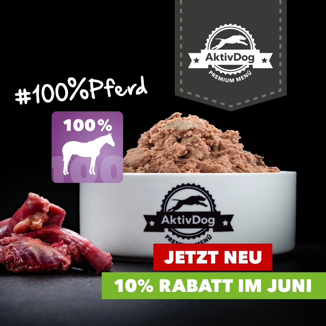 2025_25_Einfuehrung-100Pferd