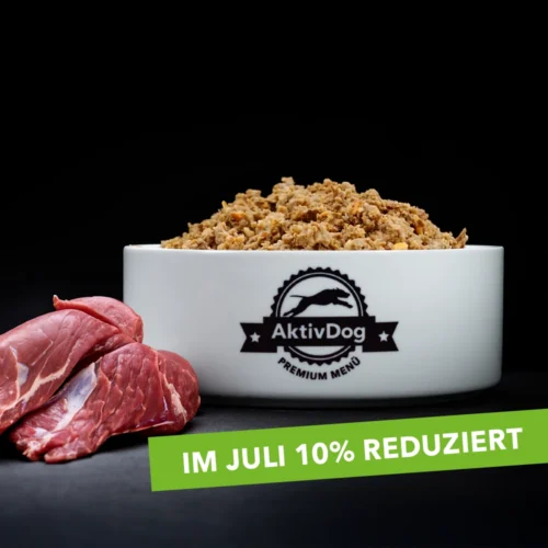 21-AktivDog-gwildschwein-10pro