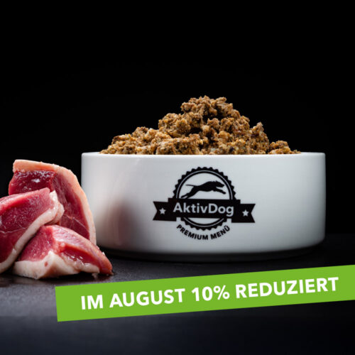 22-AktivDog-ente-august-10pro