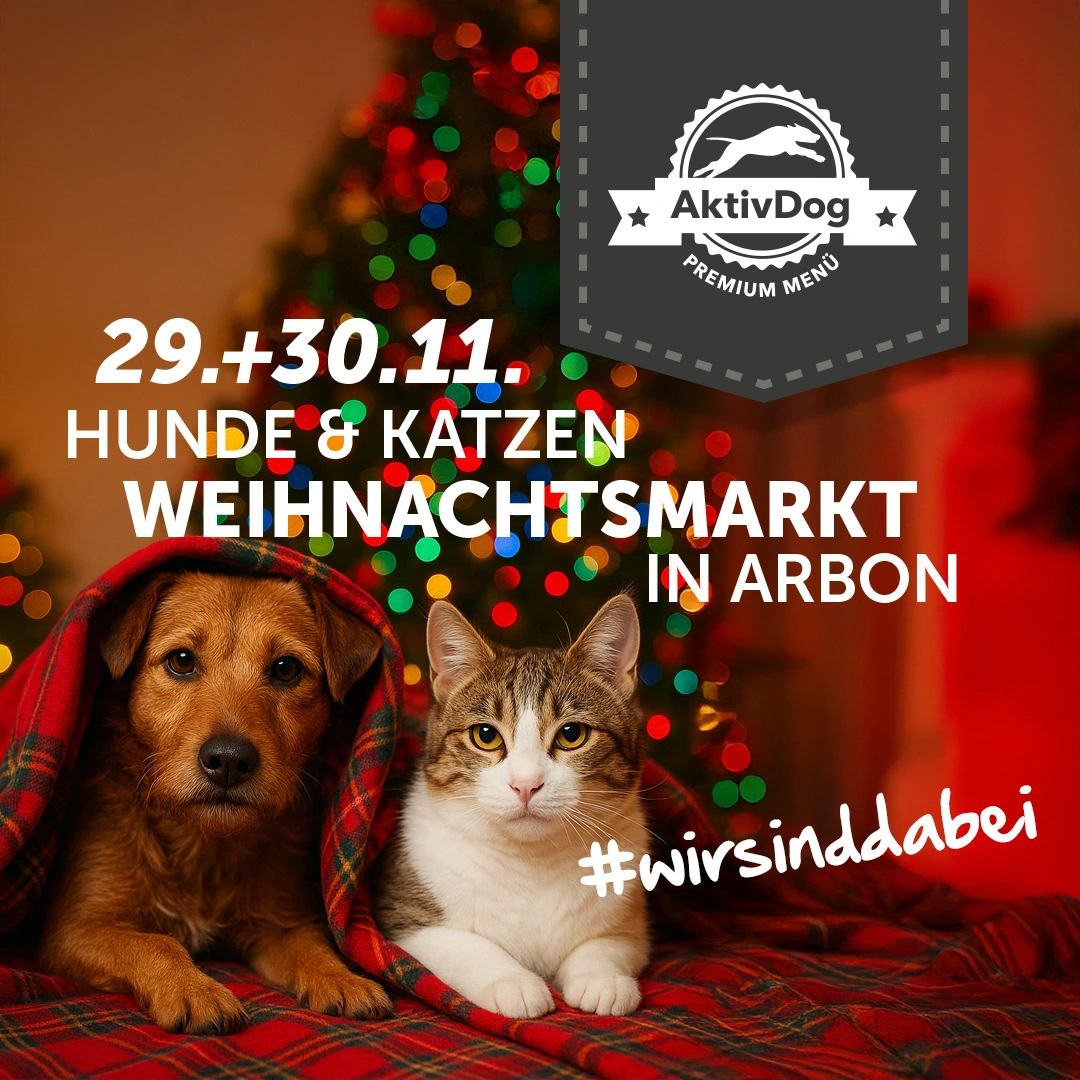 2025_51_weihnachtsmarkt-arbon