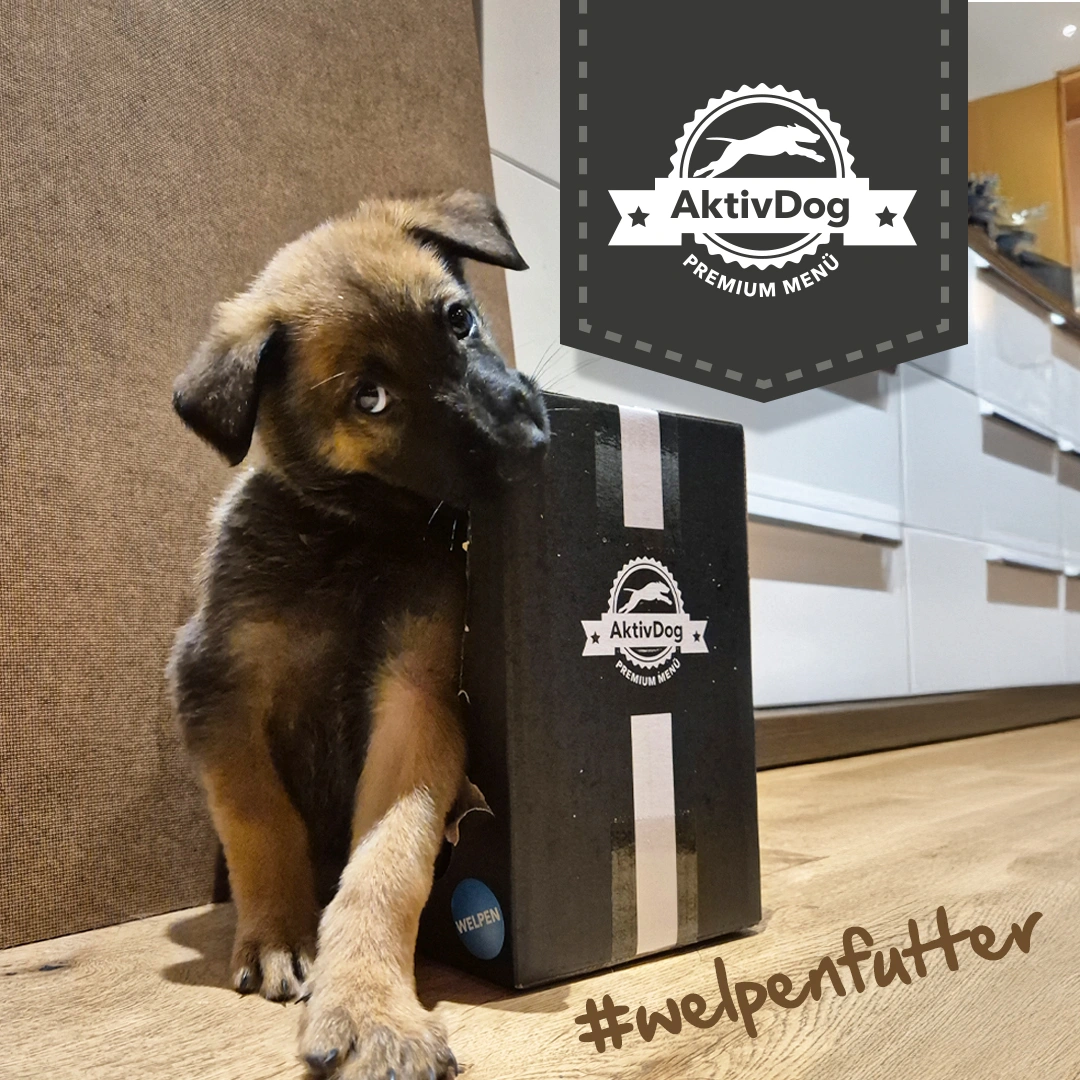 2025_52_welpenfutter