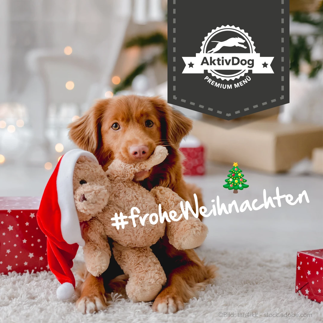 2025_59_frohe-Weihnachten