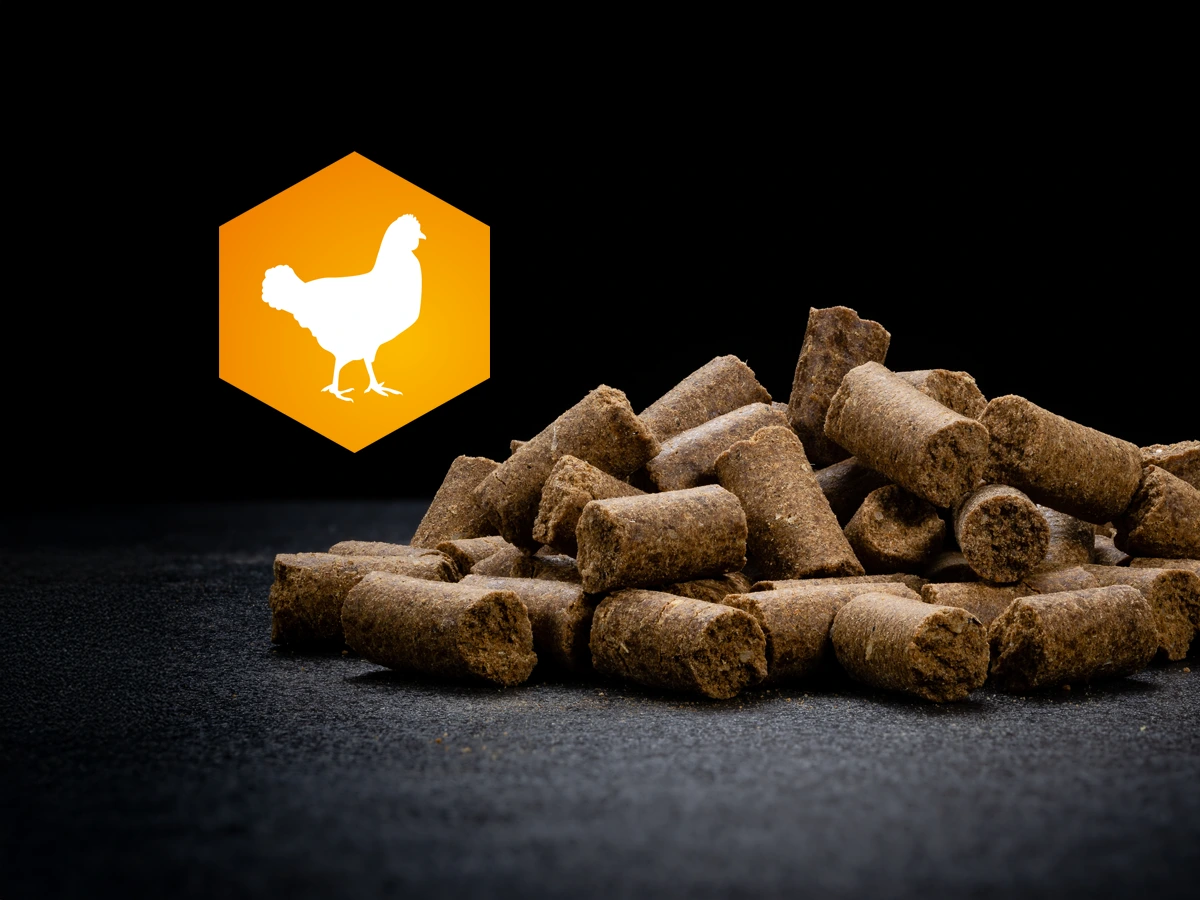 AktivDog Belohnungsleckerli Huhn aus schonend getrocknetem Poulet liegen pur auf einem dunklen Untergrund