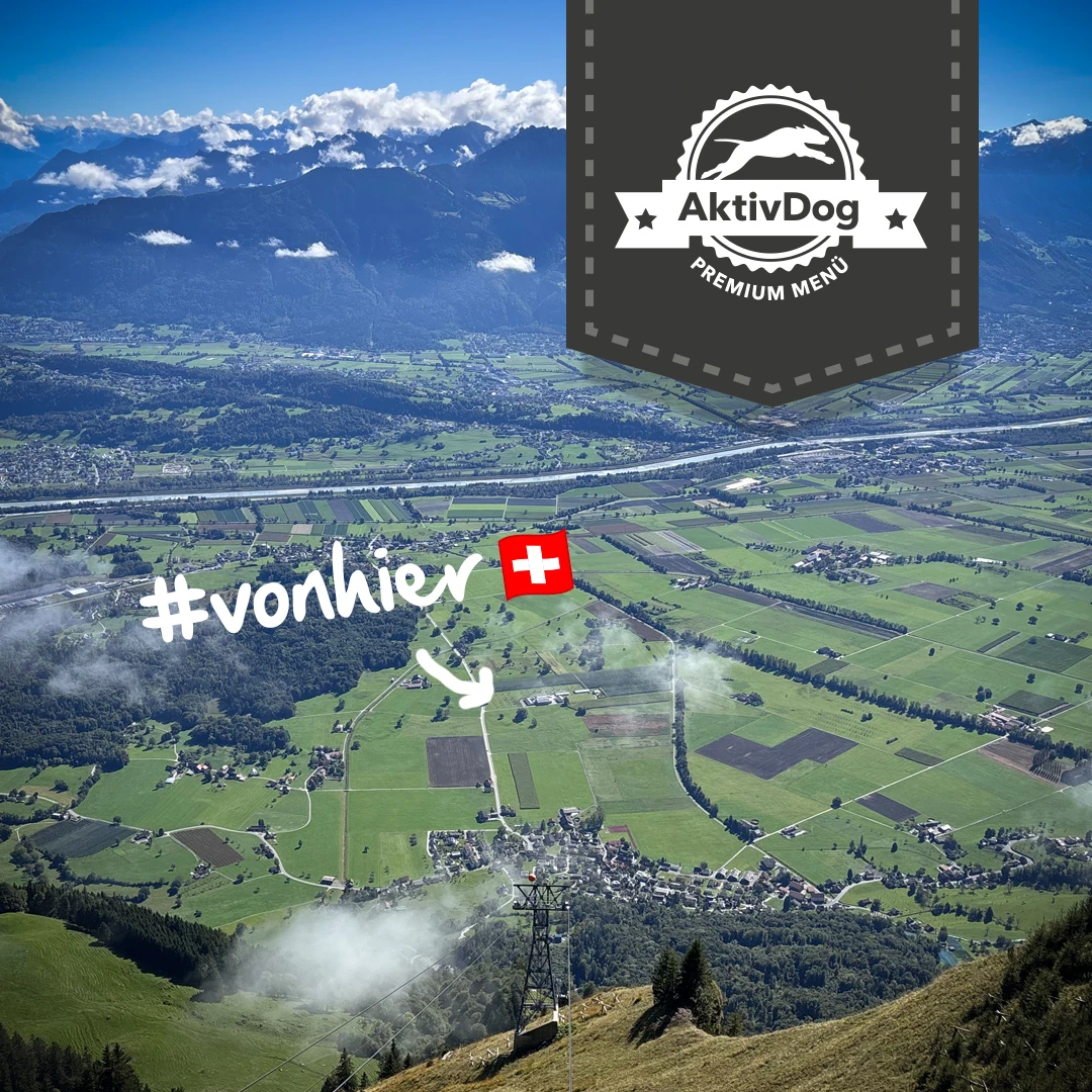 2026_05_von hier regional